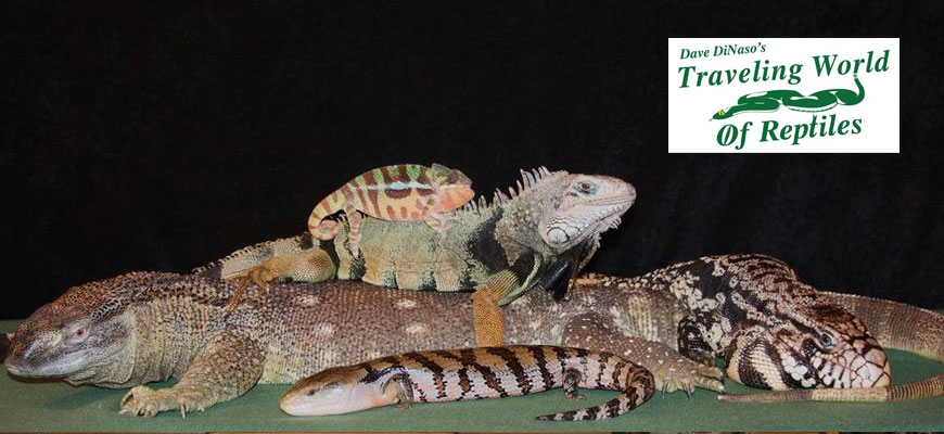 Dave DiNaso’s Traveling World of Reptiles